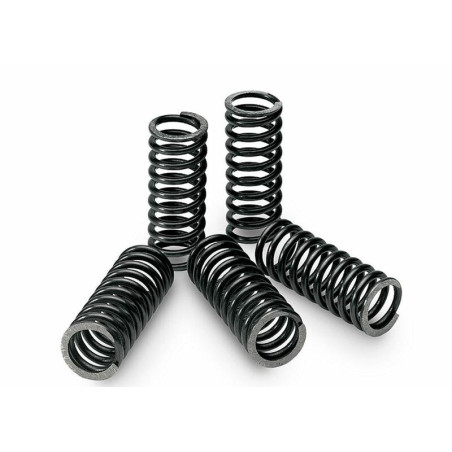 TECNIUM Kupplungsfeder Kit schachtel von 6 für KAWASAKI KX 250 1987-1991