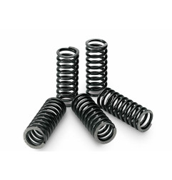 Kit de muelles de embrague TECNIUM para KAWASAKI KFX 450, KLX 450, KX 450, KXF 450 de 2006 a 2020
