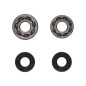 PROX Kurbelwellenlager- und Simmerring-Kit für YAMAHA YZ 65, YZ 85 LW, YZ 85 SW von 2018 bis 2026 PROX Kurbelwellenlager- und Simmerring-Kit für YAMAHA YZ 65, YZ 85 LW, YZ 85 SW von 2018 bis 2026