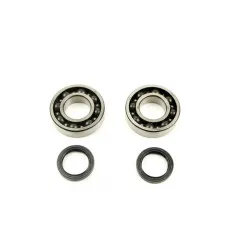 PROX Kurbelwellenlager- und Simmerring-Kit für KAWASAKI KX 250, KX 250 X von 2021 bis 2026 – Art.-Nr. 23.CBS43051