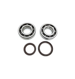 PROX Kurbelwellenlager- und Simmerring-Kit für BETA RR 350 EFI, RR 390 EFI, RR 430 EFI, RR 480 EFI von 2010 bis 2023 – Art.-Nr. 