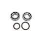 PROX crankshaft bearing and seal kit for BETA RR 350 EFI, RR 390 EFI, RR 400, RR 430 EFI, RR 450, RR 480 EFI from 2010 to 2023