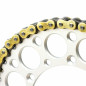 RENTHAL 520R33 SRS Ring Kette 520 für KTM SX 250, HUSQVARNA WR 125, YAMAHA YZ 125 und GAS GAS EC 200 1980-2027