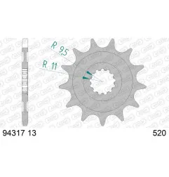 AFAM Ritzel Stahl 13 Zähne, Teilung 520 für TM RACING EN 250, EN 300, EN 300 FI, ENF 250, MXF 250 2001-2020