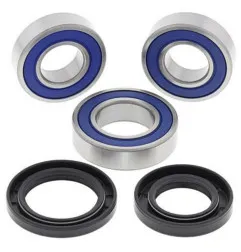 ALL BALLS Radlager-Kit für GAS GAS EC 125, EC 200, EC 250, EC 300, ECF 250 2001-2020 - 25-1458