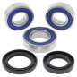 ALL BALLS Radlager-Kit für GAS GAS EC 125, EC 200, EC 250, EC 300, ECF 250 2001-2020 - 25-1458