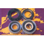 PIVOT WORKS Hinterradlager und Dichtungs-Kit für HONDA CRF 230, CRF 230 L, XLR 125, XR 125 L, XR 400 und YAMAHA XT 600 1990-2011