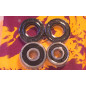 PIVOT WORKS Rear Wheel Bearings And Seals Kit for KAWASAKI KLX 140, KX 100, KX 65, KX 85 and SUZUKI RM 100, RM 60, RM 65 PIVOT WORKS Rear Wheel Bearings And Seals Kit for KAWASAKI KLX 140, KX 100, KX 65, KX 85 and SUZUKI RM 100, RM 60, RM 65