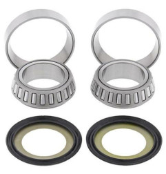 Kit rodamientos de columna de dirección ALL BALLS para HM CRE-F 250 X, CRE-F 450 X, CRM-F 450 X, CRM-F 500 X y HONDA CR 125