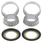 Kit roulements de colonne de direction ALL BALLS pour HM CRE-F 250 X, CRE-F 450 X, CRM-F 450 X, CRM-F 500 X et HONDA CR 125 Kit roulements de colonne de direction ALL BALLS pour HM CRE-F 250 X, CRE-F 450 X, CRM-F 450 X, CRM-F 500 X et HONDA CR 125