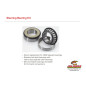 ALL BALLS Lenkschaftlager-Kit für SUZUKI RM 125, RM 250, RMZ 450 1976-2008