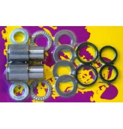 Kit de reparación de basculante PIVOT WORKS POUR -05 ET KX250 1999-07 para KAWASAKI KX 125, KX 250 de 1999 a 2008