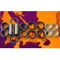 Kit roulements de bras oscillant PIVOT WORKS pour KTM EXC 400, LC4 640, SX 85, GAS GAS MC 85 et HUSQVARNA TC 85 de 1994 à 2025