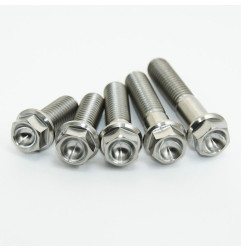 Kit vis titane SCAR M8x15 par 2