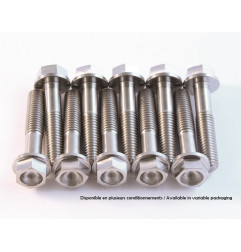 Juego de tornillos de titanio SCAR M6x12 por 2