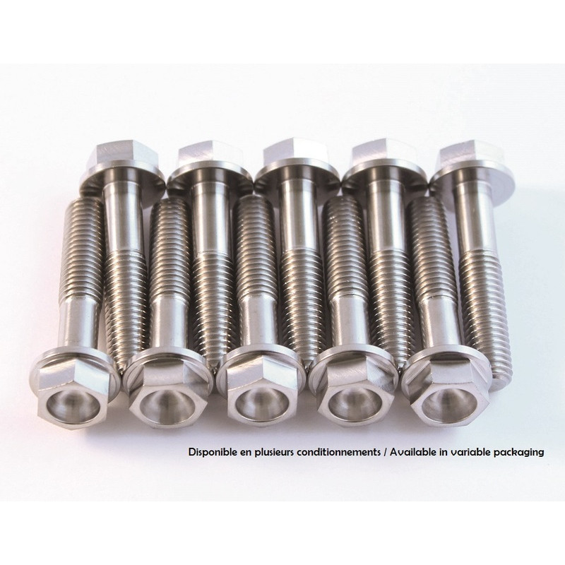 SCAR Titanium Screw Kit M6x12 By 2