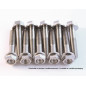 Kit vis titane SCAR M6x12 par 2