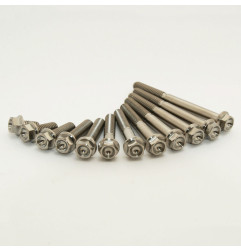 SCAR Titanium Screw Kit M6x55 By 2