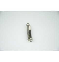 Kit de tornillos para el motor SCAR Titanio - pack de 2