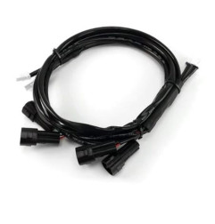 DENALI Kabelbaum / Adapter