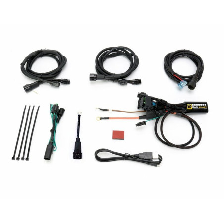 Controlador Canbus Plug-N-Play DENALI CANsmart Gen II BMW R1200 Hex Head