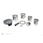 WISECO Schmiedekolben für CAN-AM DS 450, DS 450 EFI XMX, DS 450 EFI XXC, DS 450 XMX, DS 450 XXC 2008-2015 WISECO Schmiedekolben für CAN-AM DS 450, DS 450 EFI XMX, DS 450 EFI XXC, DS 450 XMX, DS 450 XXC 2008-2015