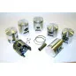 VERTEX Schmiedekolben für POLARIS RZR 900, RZR XP 1000, RZR XP 1000 HIGH LIFTER, RZR XP 1000 TURBO, RZR XP 1000 TURBO S VERTEX Schmiedekolben für POLARIS RZR 900, RZR XP 1000, RZR XP 1000 HIGH LIFTER, RZR XP 1000 TURBO, RZR XP 1000 TURBO S