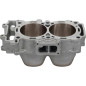 CYLINDER WORKS Cylinder - Ø93,00mm for POLARIS RZR 1000 XP TURBO EPS 2016-2017