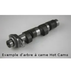 Arbre à cames HOT CAMS - Niveau 1 pour POLARIS RANGER 500, SCRAMBLER 500, SPORTSMAN 400 HO 4X4, SPORTSMAN 500, SPORTSMAN 500 HO