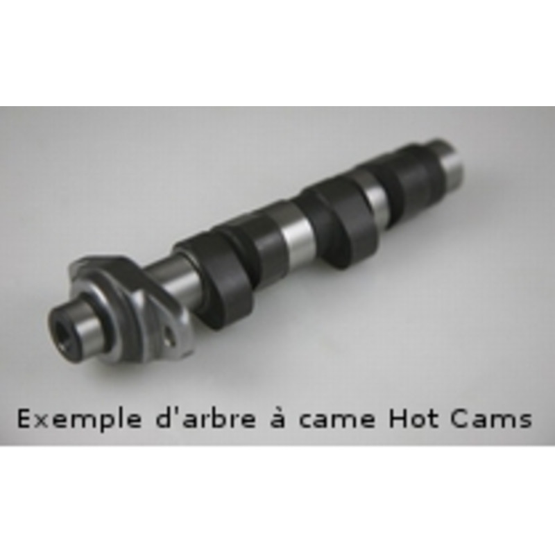 Arbre à cames HOT CAMS - Niveau 1 pour POLARIS RANGER 500, SCRAMBLER 500, SPORTSMAN 400 HO 4X4, SPORTSMAN 500, SPORTSMAN 500 HO
