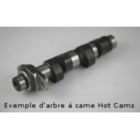 HOT CAMS Nockenwelle - Stage 1 für POLARIS RANGER 500, SCRAMBLER 500, SPORTSMAN 400 HO 4X4, SPORTSMAN 500, SPORTSMAN 500 HO