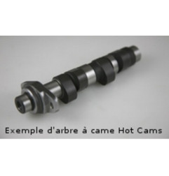 HOT CAMS Camshaft - Stage 2 for POLARIS RANGER 500, SCRAMBLER 500, SPORTSMAN 400 HO 4X4, SPORTSMAN 500, SPORTSMAN 500 HO