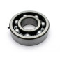 PROX Crankshaft Bearing 25x62x17mm for YAMAHA YFZ 350 BANSHEE 2WD 1988-2011