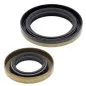 ALL BALLS Crankshaft Oil Seal Kit for GAS GAS EC 125, MC 125, SM 125, SM 125 HALLEY 2002-2015