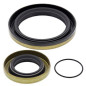 ALL BALLS Kurbelwellen-Simmerring-Kit für GAS GAS EC 200, EC 250, EC 300, XC 200, XC 250 1999-2020