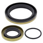 ALL BALLS Crankshaft Oil Seal Kit for GAS GAS EC 250, EC 300, MC 250, SM 250 1998-2019 ALL BALLS Crankshaft Oil Seal Kit for GAS GAS EC 250, EC 300, MC 250, SM 250 1998-2019