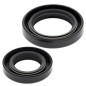 Kit de retenes de cigüeñal ALL BALLS para HONDA CR 125 de 1980 a 1986