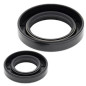 ALL BALLS Kurbelwellen-Simmerring-Kit für HONDA CR 250 1992-2007 ALL BALLS Kurbelwellen-Simmerring-Kit für HONDA CR 250 1992-2007