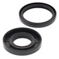 ALL BALLS Crankshaft Oil Seal Kit for HUSQVARNA CR 125, CR 250, WR 125, WR 250, WR 300 1980-2014 ALL BALLS Crankshaft Oil Seal Kit for HUSQVARNA CR 125, CR 250, WR 125, WR 250, WR 300 1980-2014