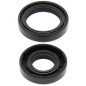 Kit retenes de cigüeñal ALL BALLS para KAWASAKI KX 125 de 1988 a 2005
