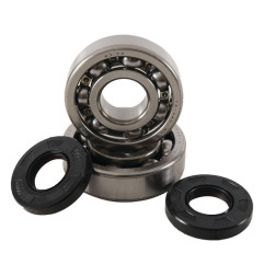 Rodamientos y retenes de cigüeñal HOT RODS para KAWASAKI KX 125 de 1985 a 1987