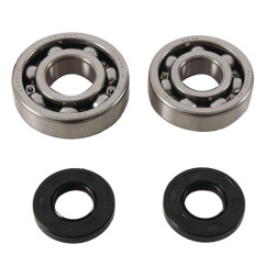HOT RODS Crankshaft Bearing & Oil Seal Kit for KAWASAKI KX 125 1985-1987