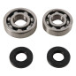 Rodamientos y retenes de cigüeñal HOT RODS para KAWASAKI KX 125 de 1985 a 1987