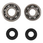 Kit roulements et joints spi de vilebrequin HOT RODS pour KAWASAKI KX 125 de 1985 à 1987 Kit roulements et joints spi de vilebrequin HOT RODS pour KAWASAKI KX 125 de 1985 à 1987