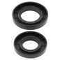 ALL BALLS Crankshaft Oil Seal Kit for KAWASAKI KDX 250, KX 250 1974-2008