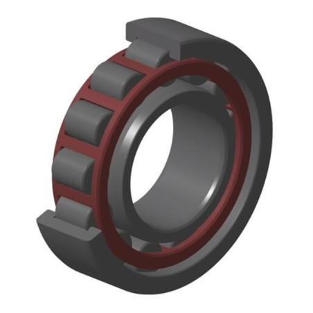 Cojinete del cigüeñal NTN 30x72x19mm para KTM LC4 620 ENDURO SUPER-COMP, LC4 620 ENDURO SX WP, LC4 640, LC4 640 ADVENTURE R