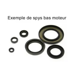 Jeu de joints spi CENTAURO pour POLARIS SCRAMBLER 250, TRAIL BLAZER 250, TRAIL BOSS 250 de 1985 à 2007