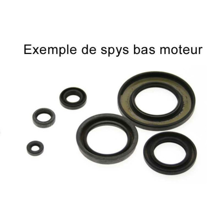 Kit de retenes de motor CENTAURO para POLARIS SCRAMBLER 250, TRAIL BLAZER 250, TRAIL BOSS 250 de 1985 a 2007