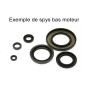 Kit de retenes de motor CENTAURO para POLARIS SCRAMBLER 250, TRAIL BLAZER 250, TRAIL BOSS 250 de 1985 a 2007