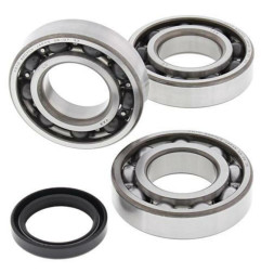 ALL BALLS Crankshaft Bearing & Oil Seal Kit for POLARIS SCRAMBLER 500, SPORTSMAN 500 6X6, SPORTSMAN 500 HO and YAMAHA XT 600